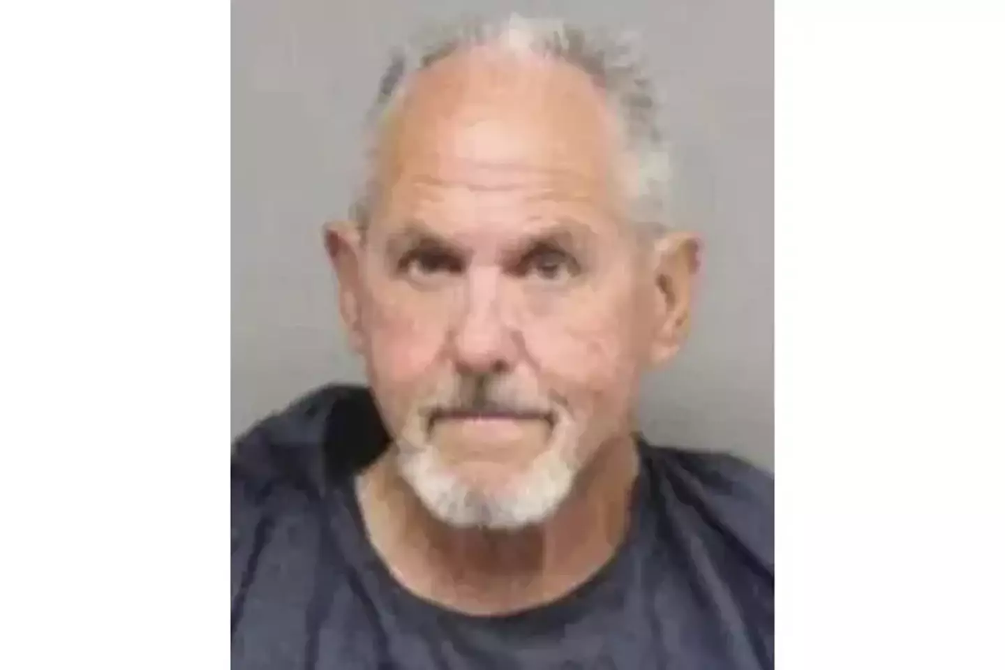 The Texas grandfather turned himself in after the incident.