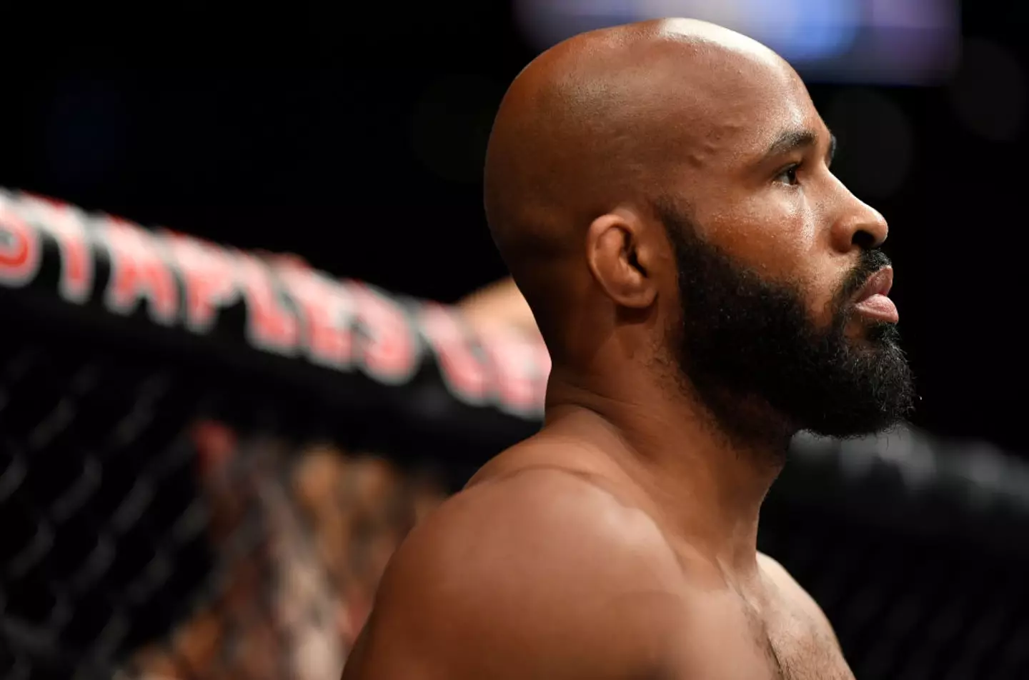 Joe Rogan suggested Demetrious Johnson could be the UFC GOAT (Image: Getty)