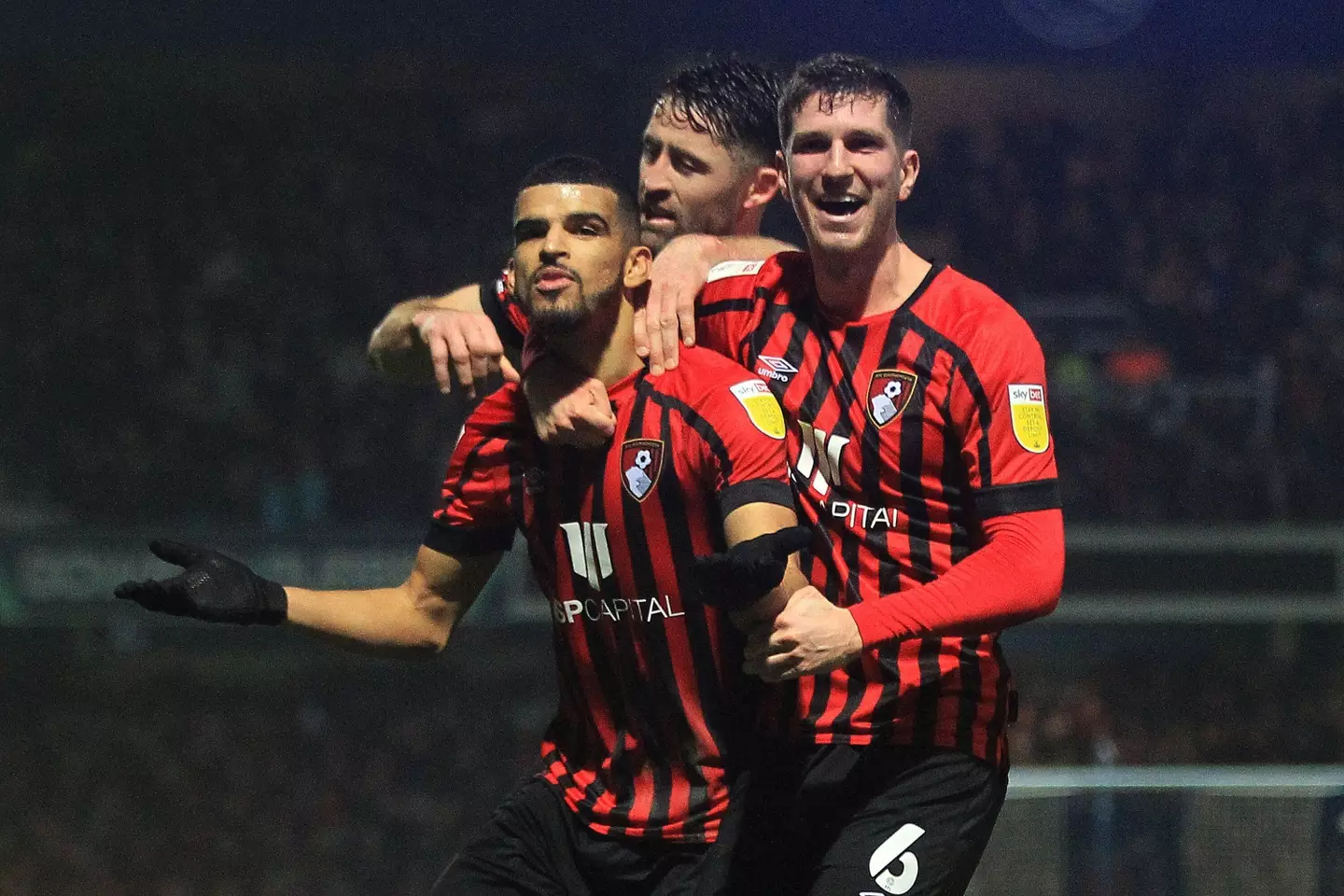 Bournemouth striker Dominic Solanke has also attracted the interest of Newcastle (Image: Alamy)