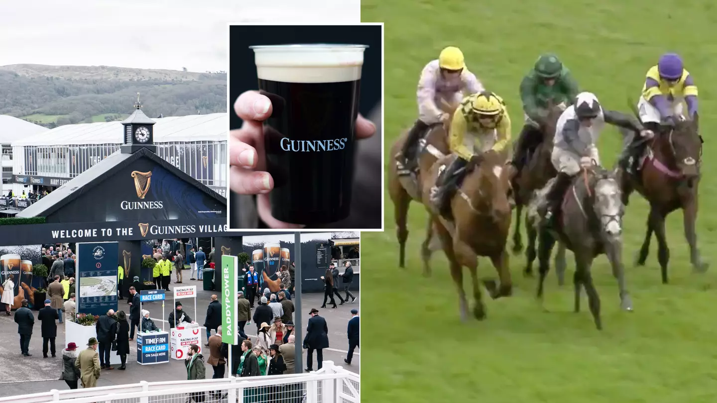 Cheltenham racegoers stunned by 'outrageous' drinks prices at Festival with most expensive option £110