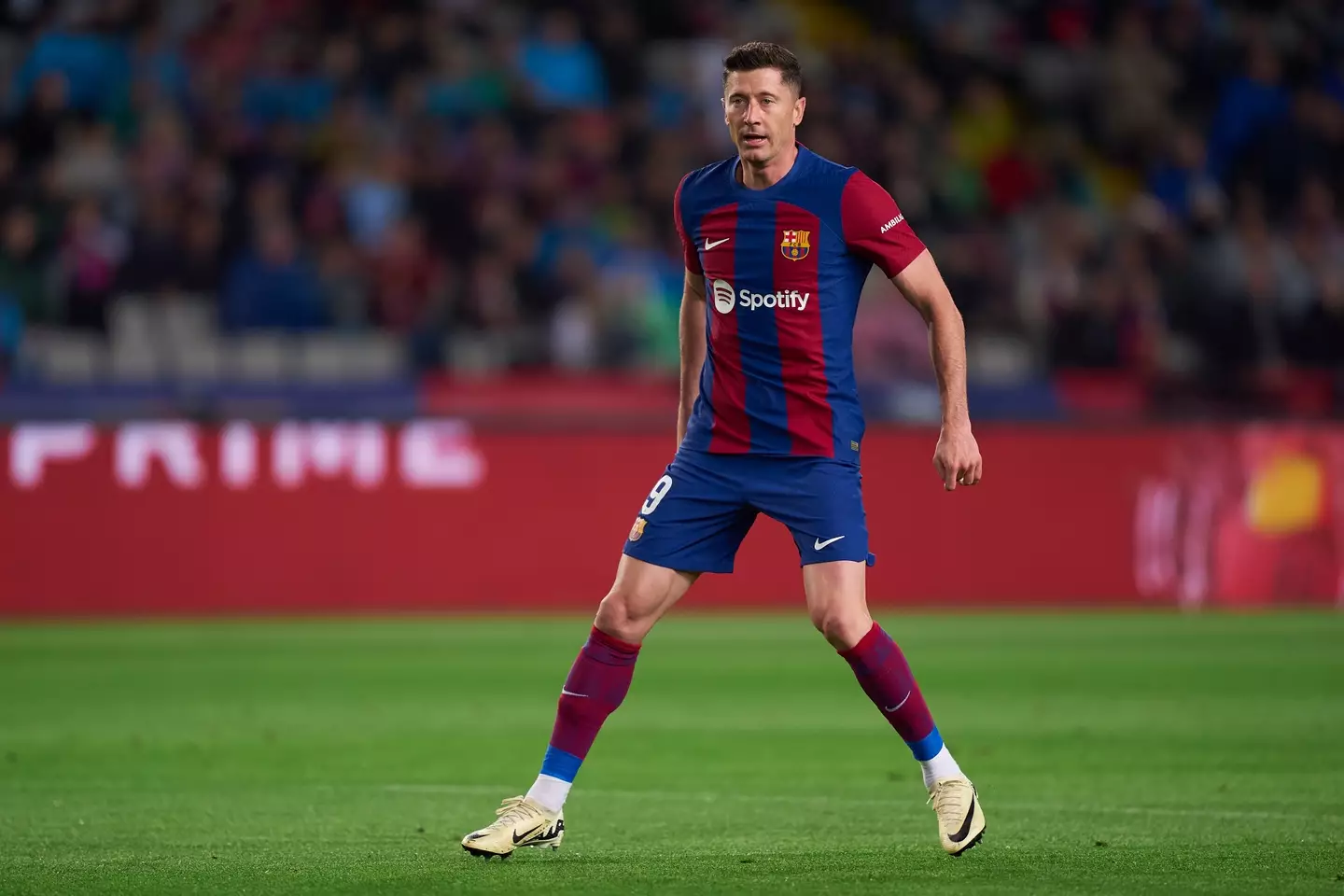 Barcelona will be open to Lewandowski's departure in the summer (Getty)