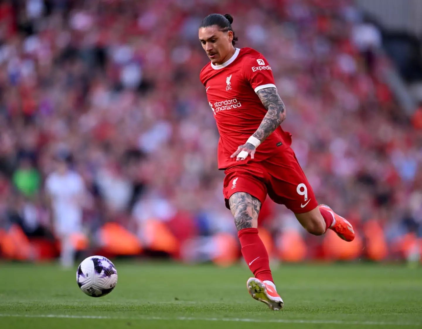 Darwin Nunez has been linked with a move away from Liverpool (Image: Getty)