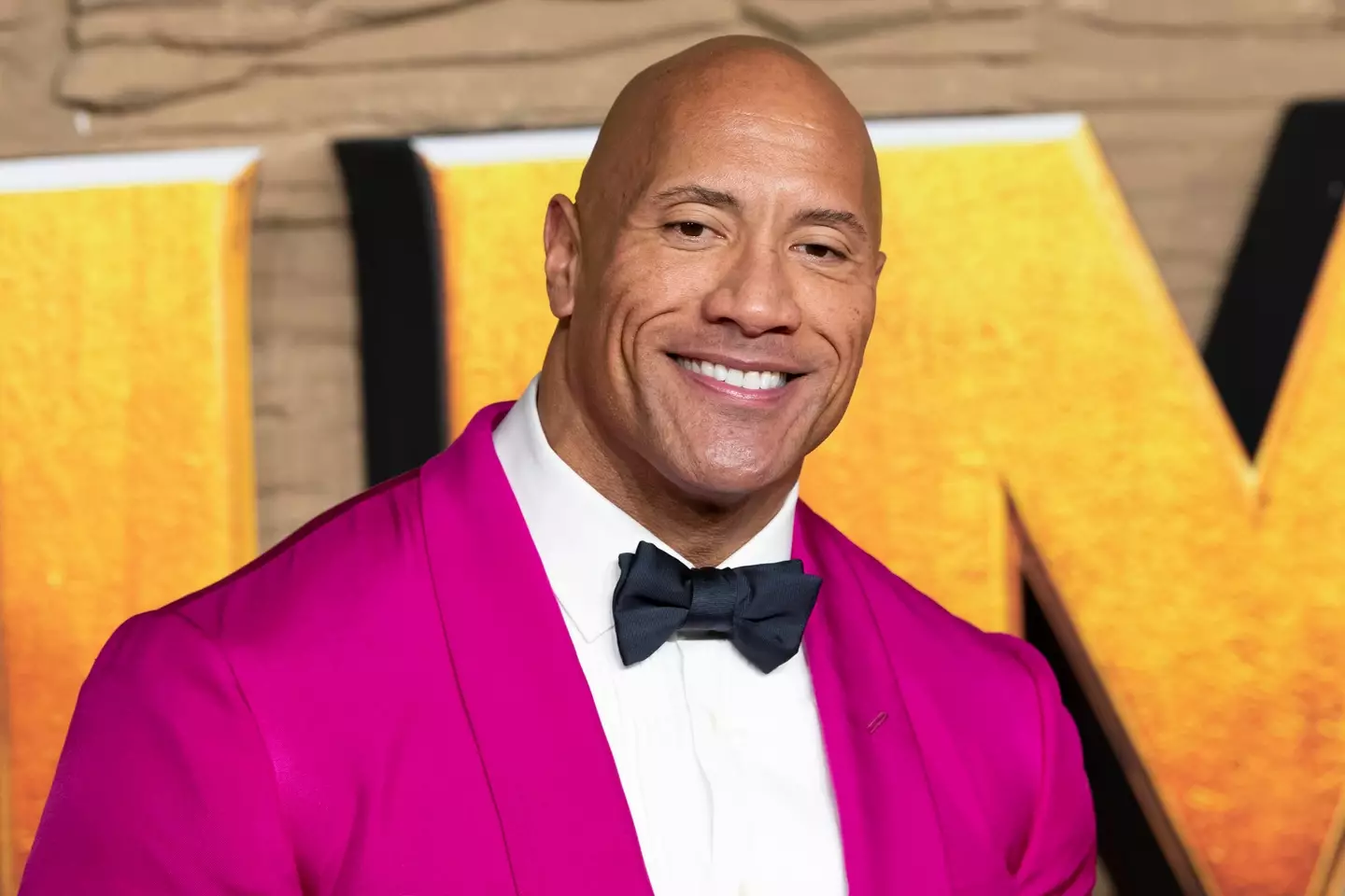 The Rock at the premiere of 'Jumanji: The Next Level' in 2019. (Image