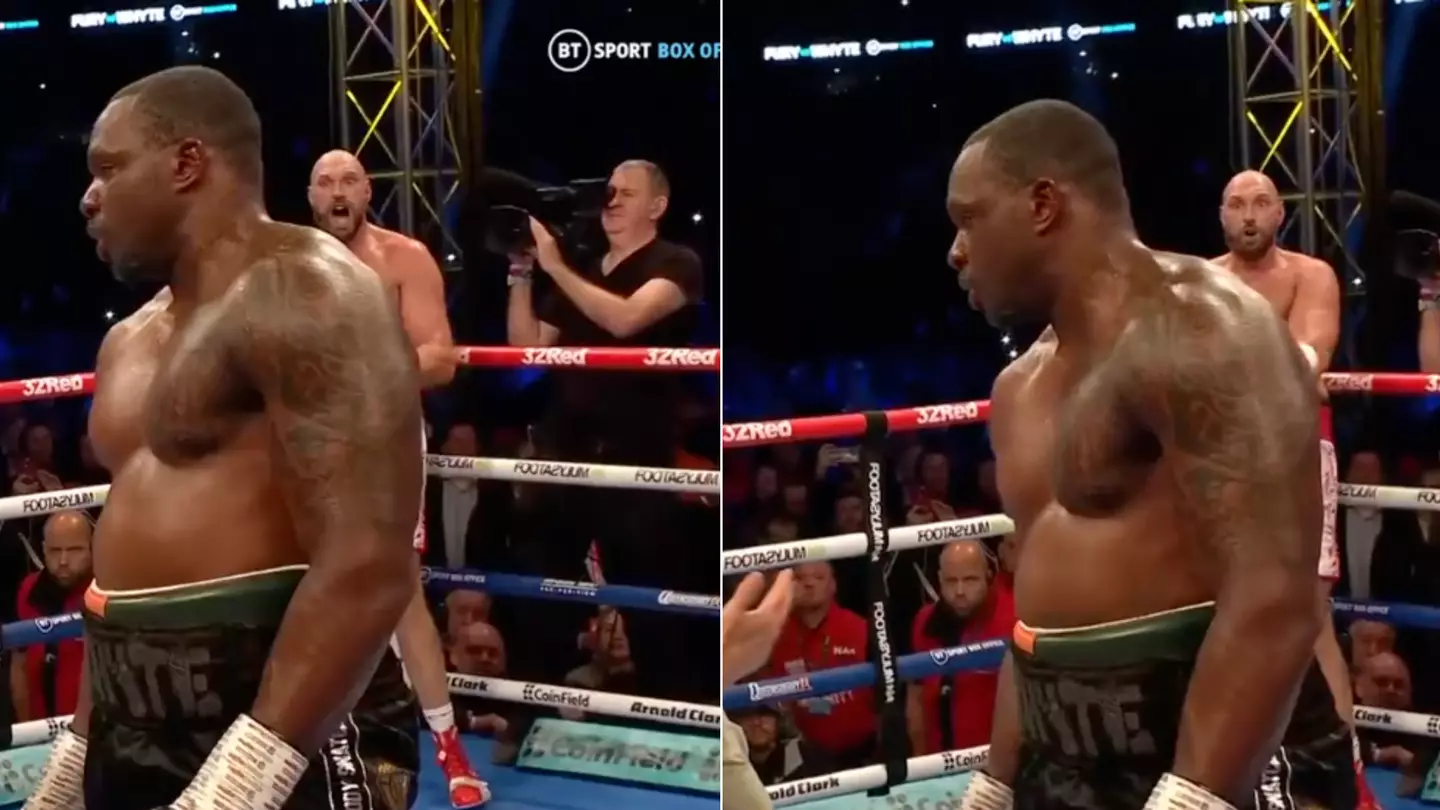 Tyson Fury Screamed At The Referee Not To Let Dillian Whyte Continue After Knockdown