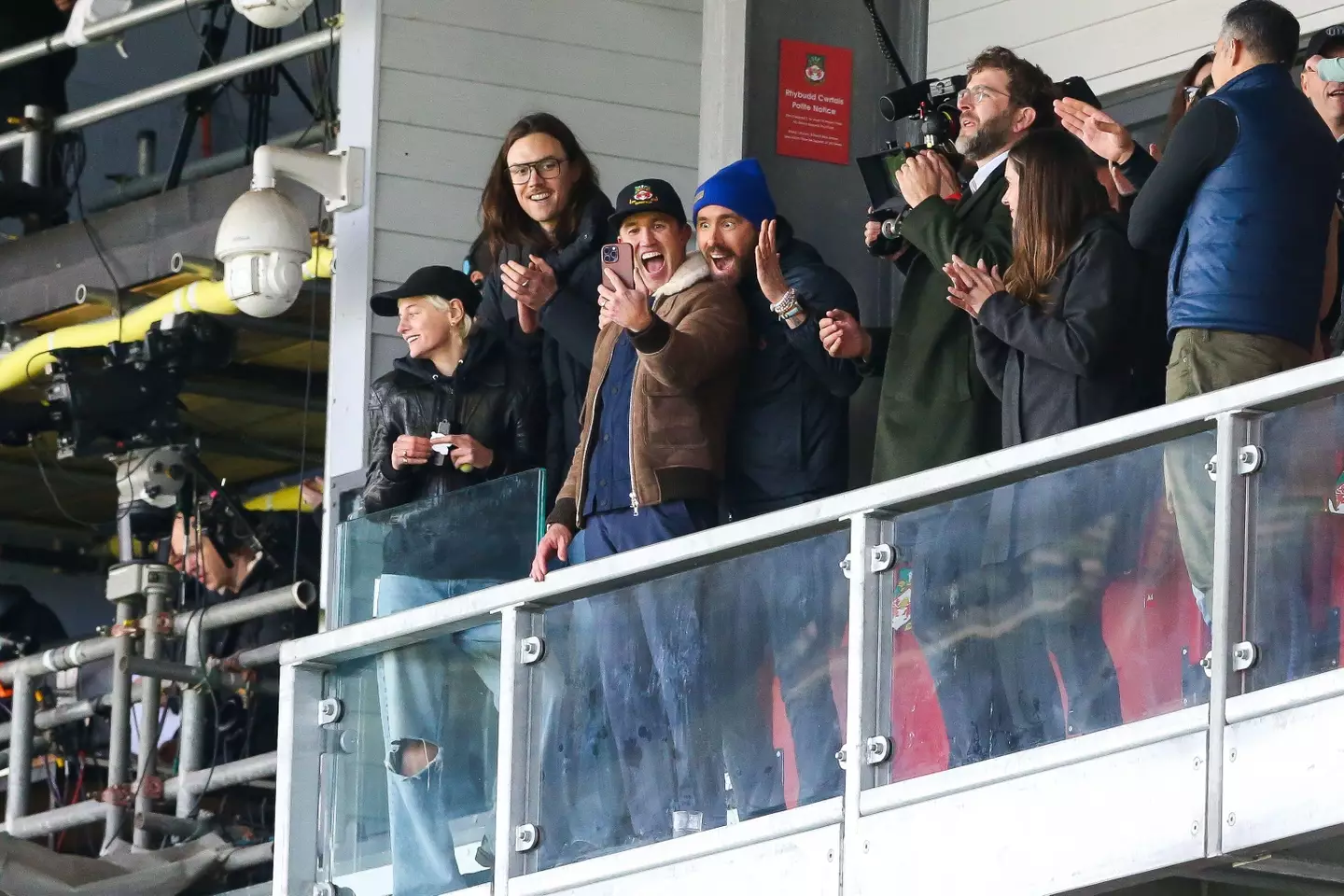 Reynolds and Mcelhenny getting excited in the stands. Image: Alamy