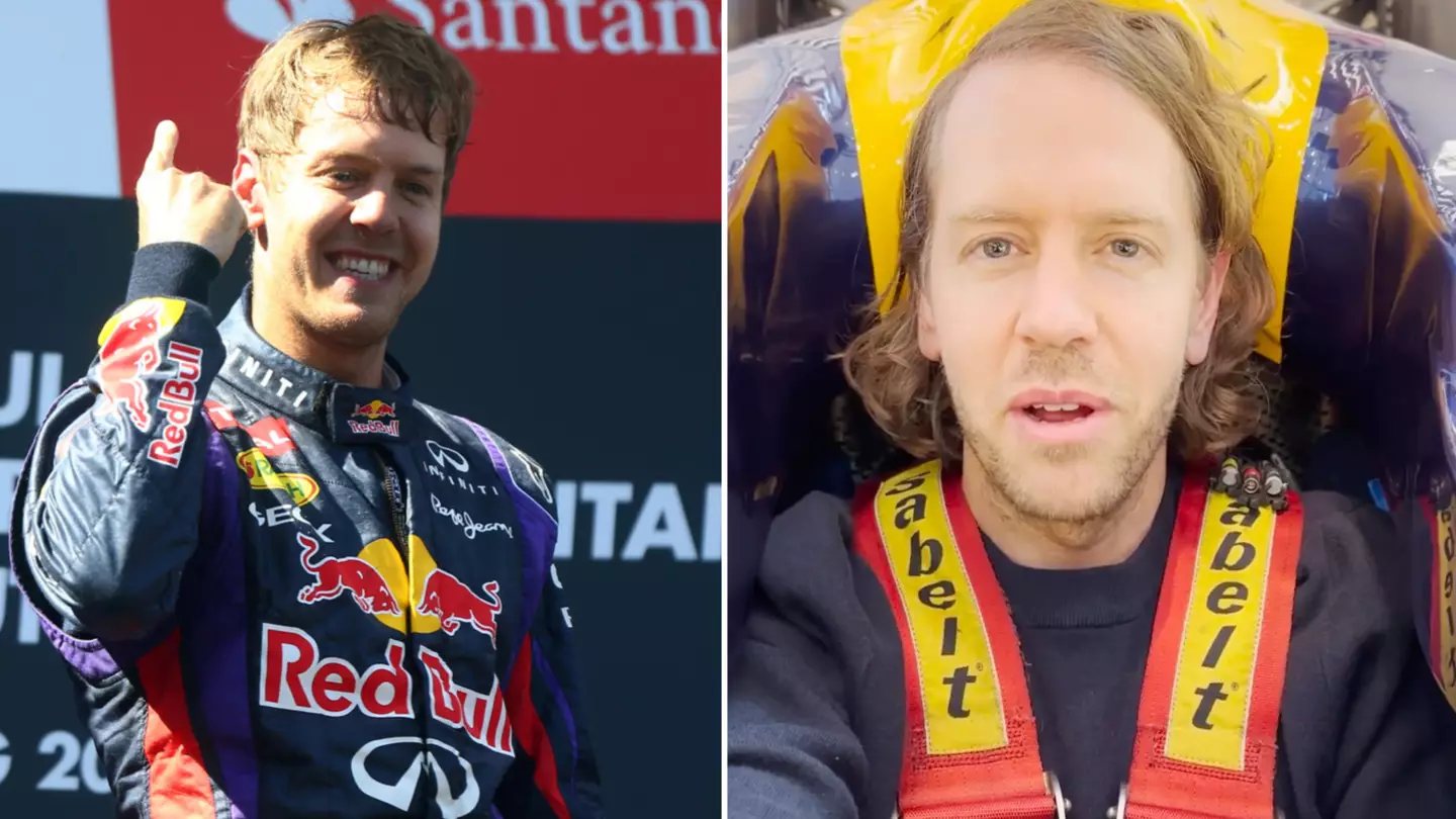 Sebastian Vettel will return to F1 driving with Red Bull alongside Daniel Ricciardo