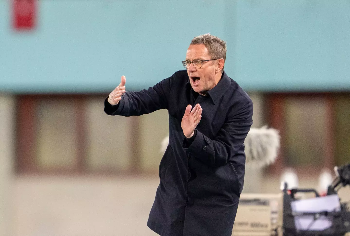 Ralf Rangnick has lost just one of his 14 games in charge of Austria (Getty)
