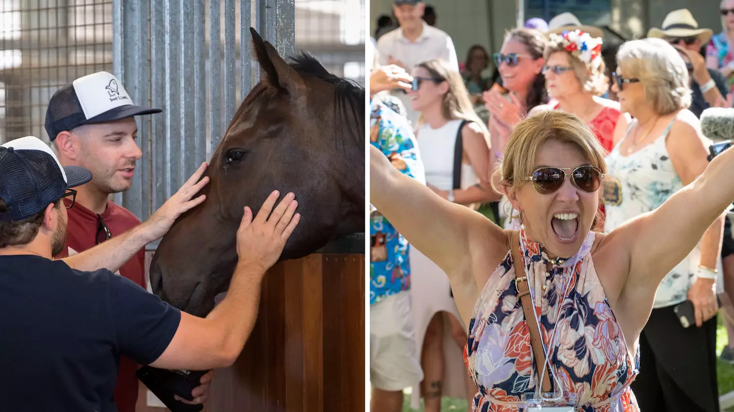 You and your mates have the chance to part-own a racehorse thanks to Racing WA’s latest competition