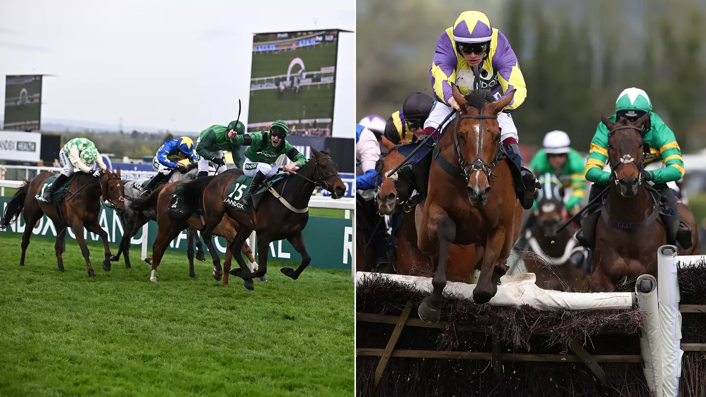 People have just found out why the Grand National has less runners this year