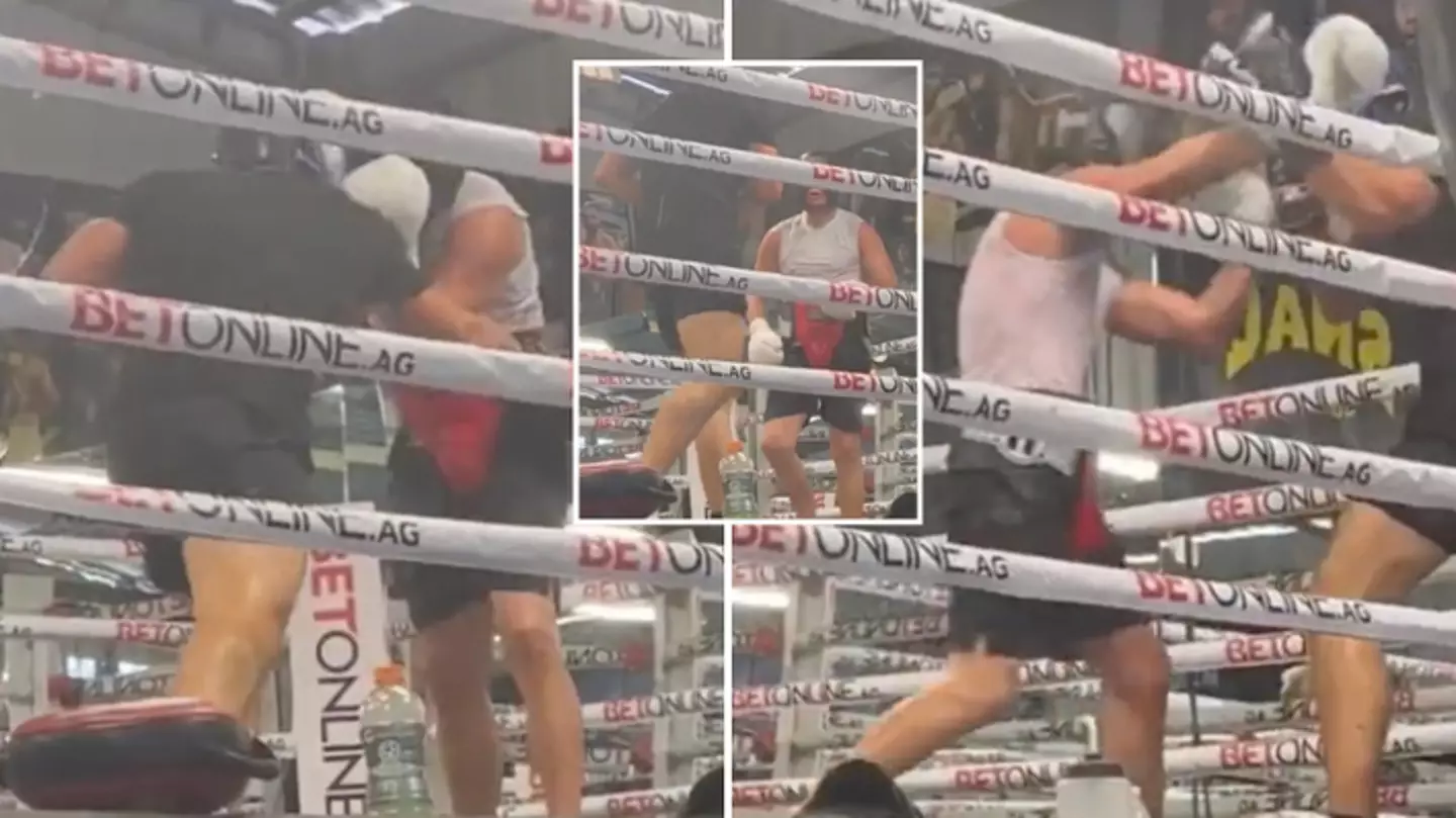 Leaked footage of Nate Diaz sparring 30-1 pro boxer has got fans talking