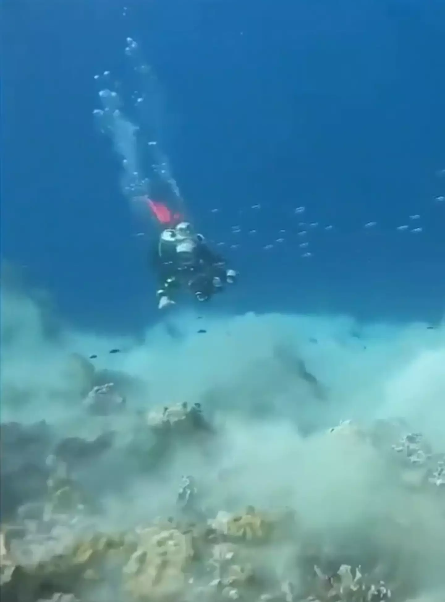 Would the divers even realize what's happening?