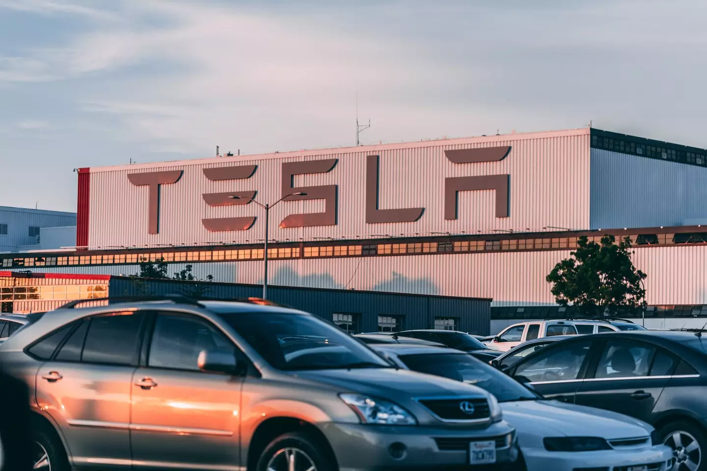 Medlock explained what it felt like to work at Tesla, where he worked for four years.