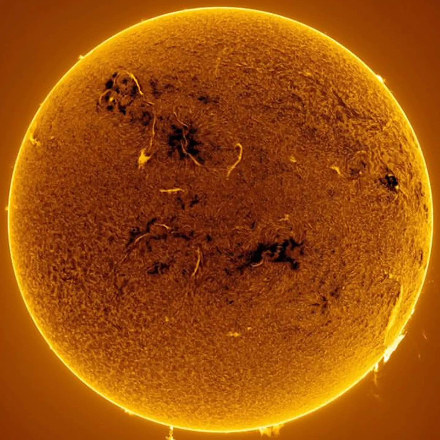 Photographer snaps rare photo of 200,000km-high plasma wall erupting from 5,600C surface of the Sun