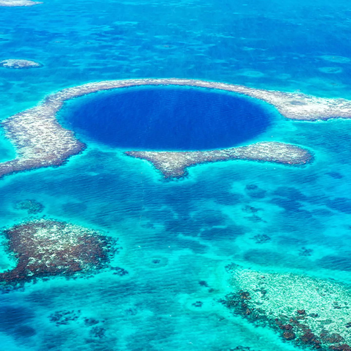Divers make shocking discovery at the bottom of the mysterious Great Blue Hole