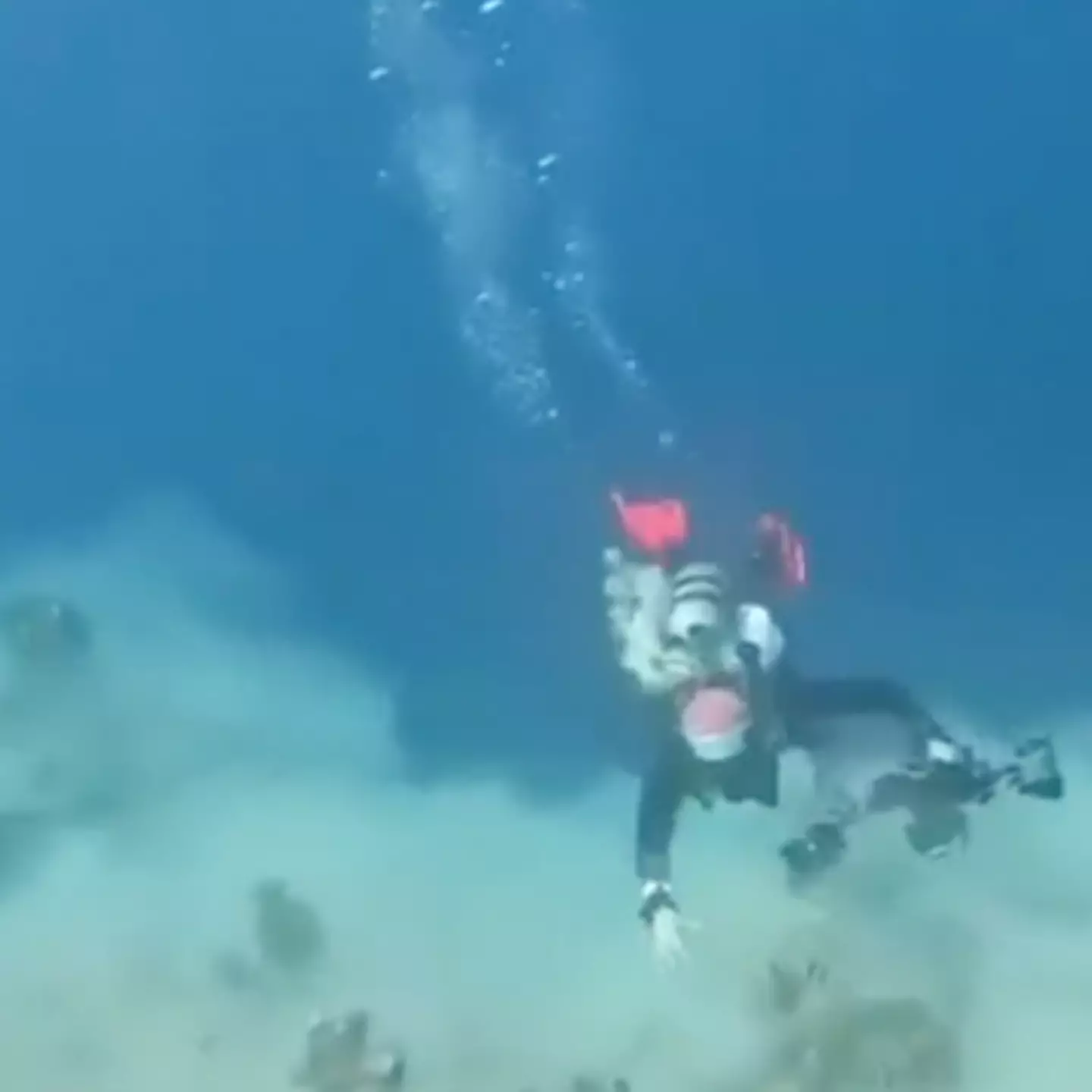 Footage of terrifying underwater earthquake called ‘nightmare fuel’ by viewers