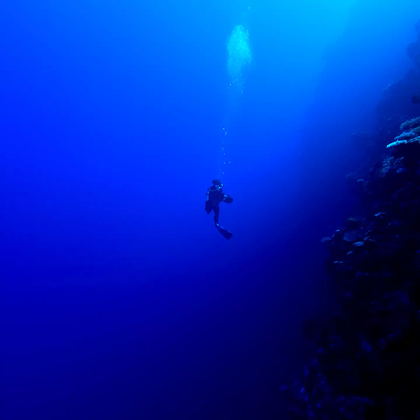 Unbelievable video showing sheer scale of ocean depth is giving people anxiety