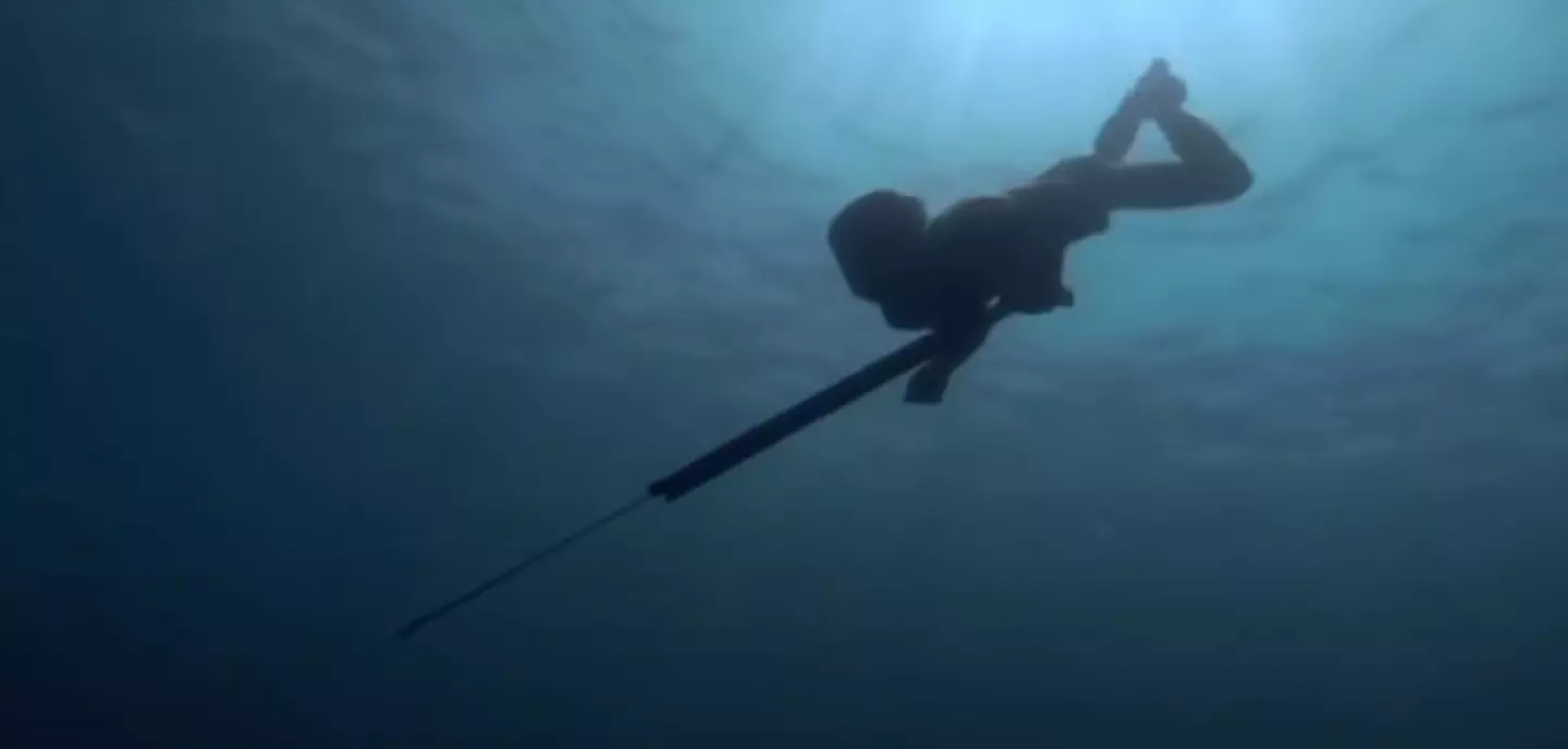 The tribe have genetically adapted to being underwater (BBC)