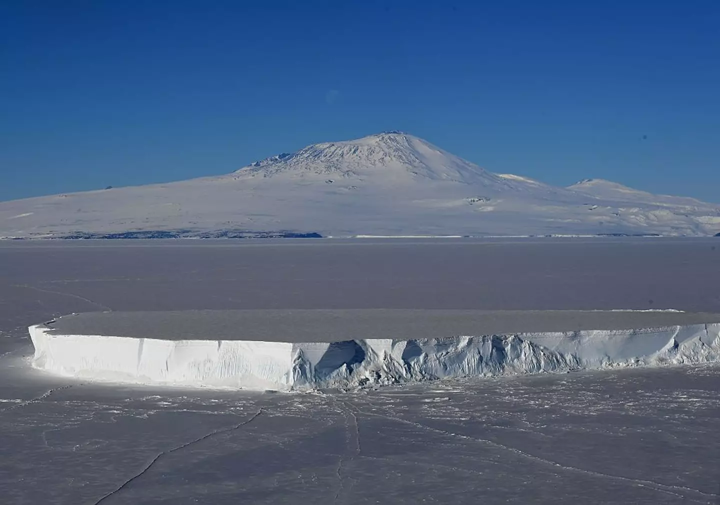 Mount Erebus is Antarctica's tallest active volanco (MARK RALSTON/AFP via Getty Images)