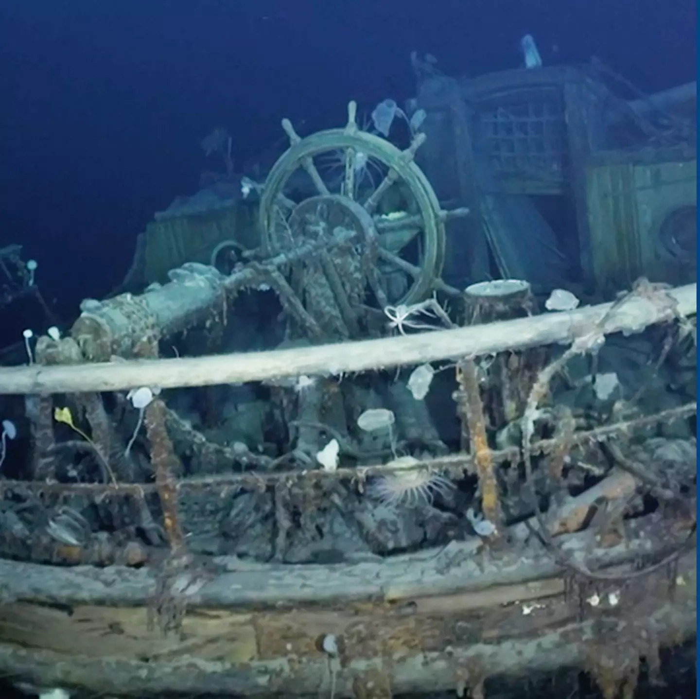How Antarctic shipwreck discovered 10,000 feet beneath the surface remained frozen in time