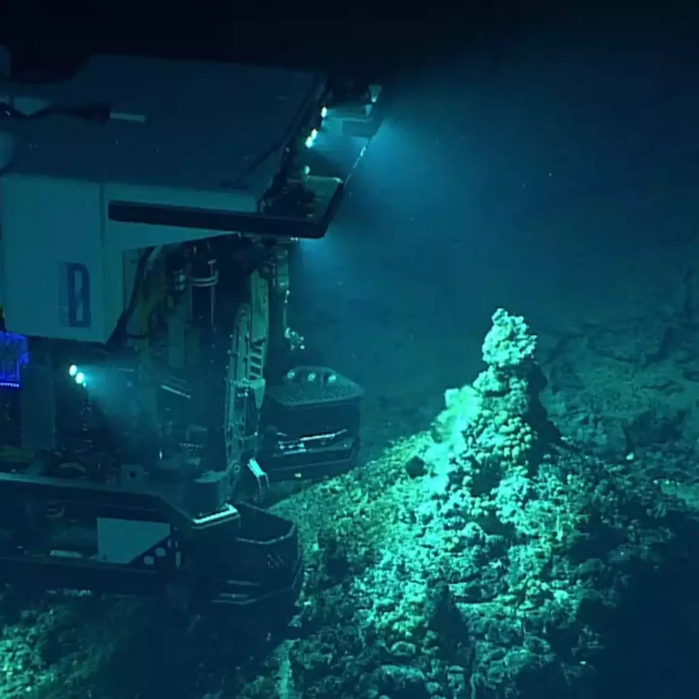 The 'alien world' of the deepest point in the entire ocean