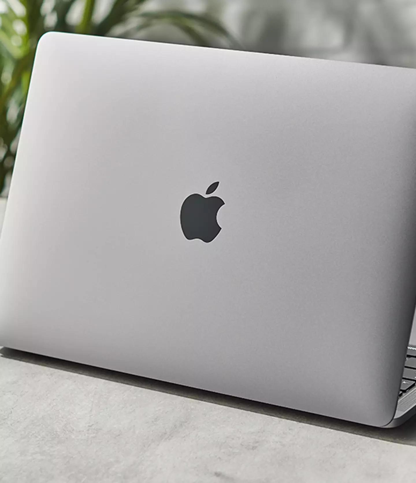 Apple's slimmest MacBoook couldn't maintain the Apple cutout / /Apple Bookazine/Getty Images