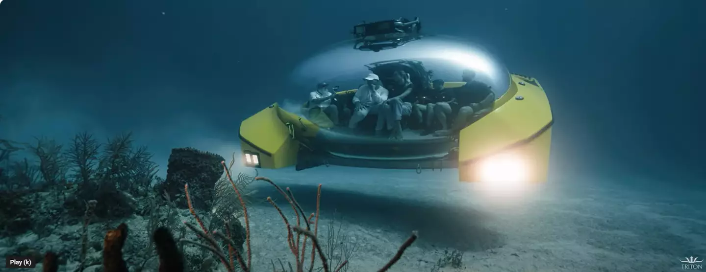 The Triton submarine is changing the way people can view the depths of the ocean.