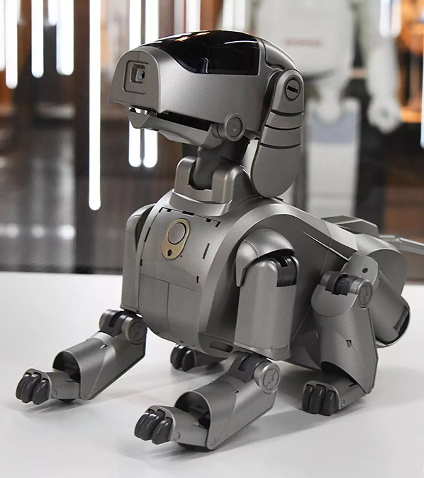 Scientists studied that robotic dogs could be the key to beating stress / Jun Sato/Getty Images