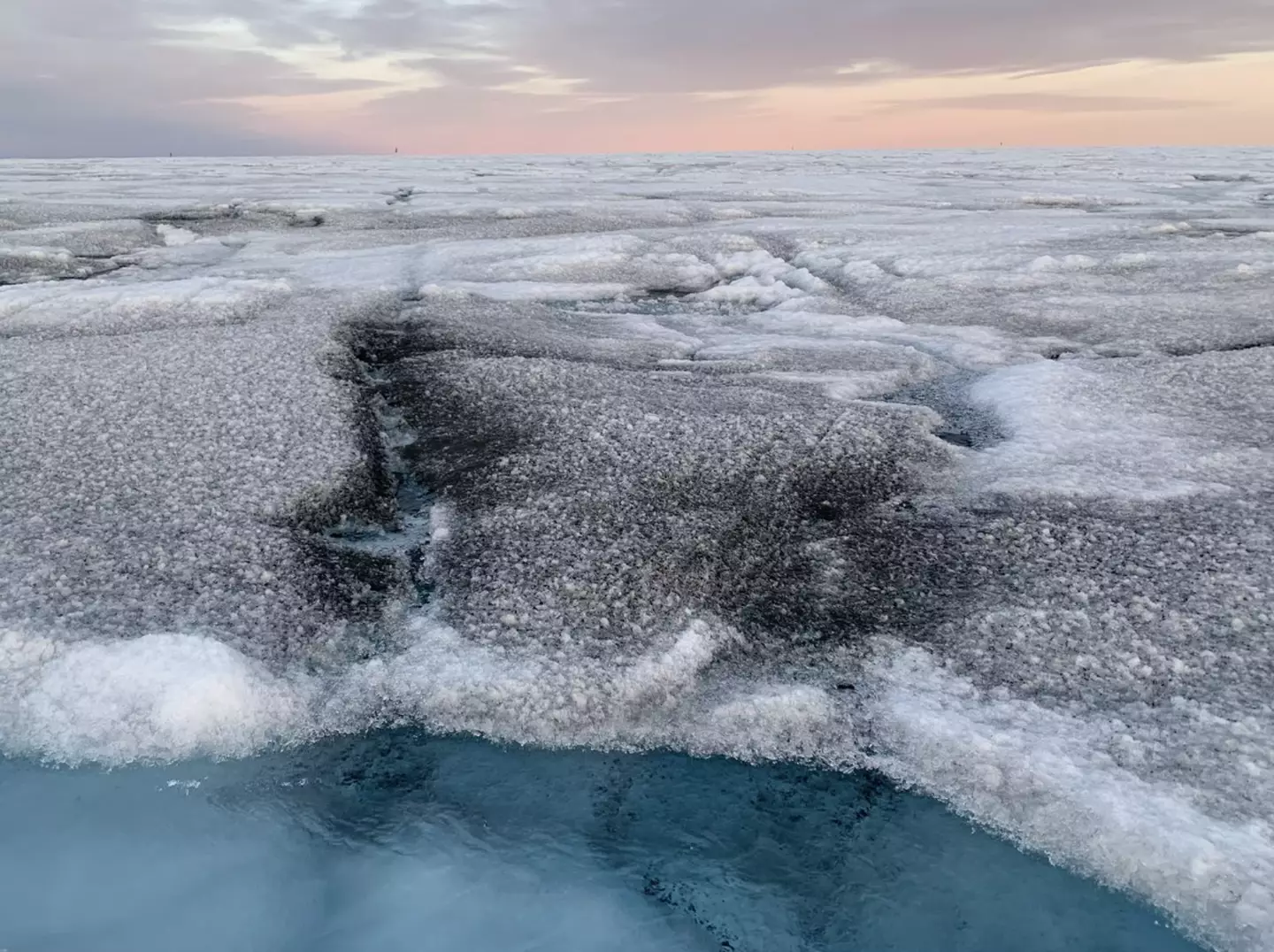 An unlikely potential solution to melting ice (Laura Perini, Aahus University)