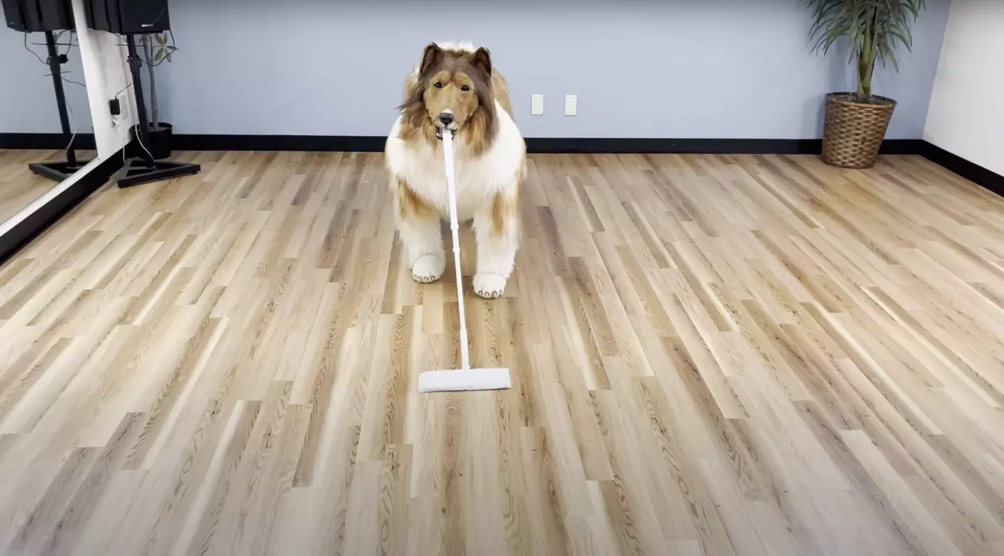 Toco demonstrates how he uses his mouth to sweep the floor (YouTube/@I_want_to_be_an_animal)
