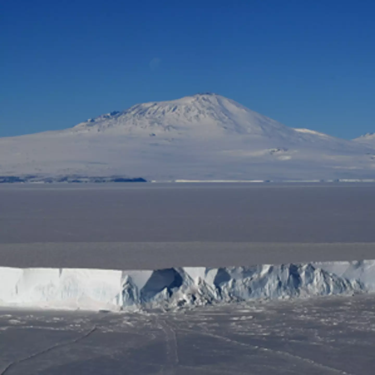 What would happen if Antarctica's active volcanoes erupted is terrifying