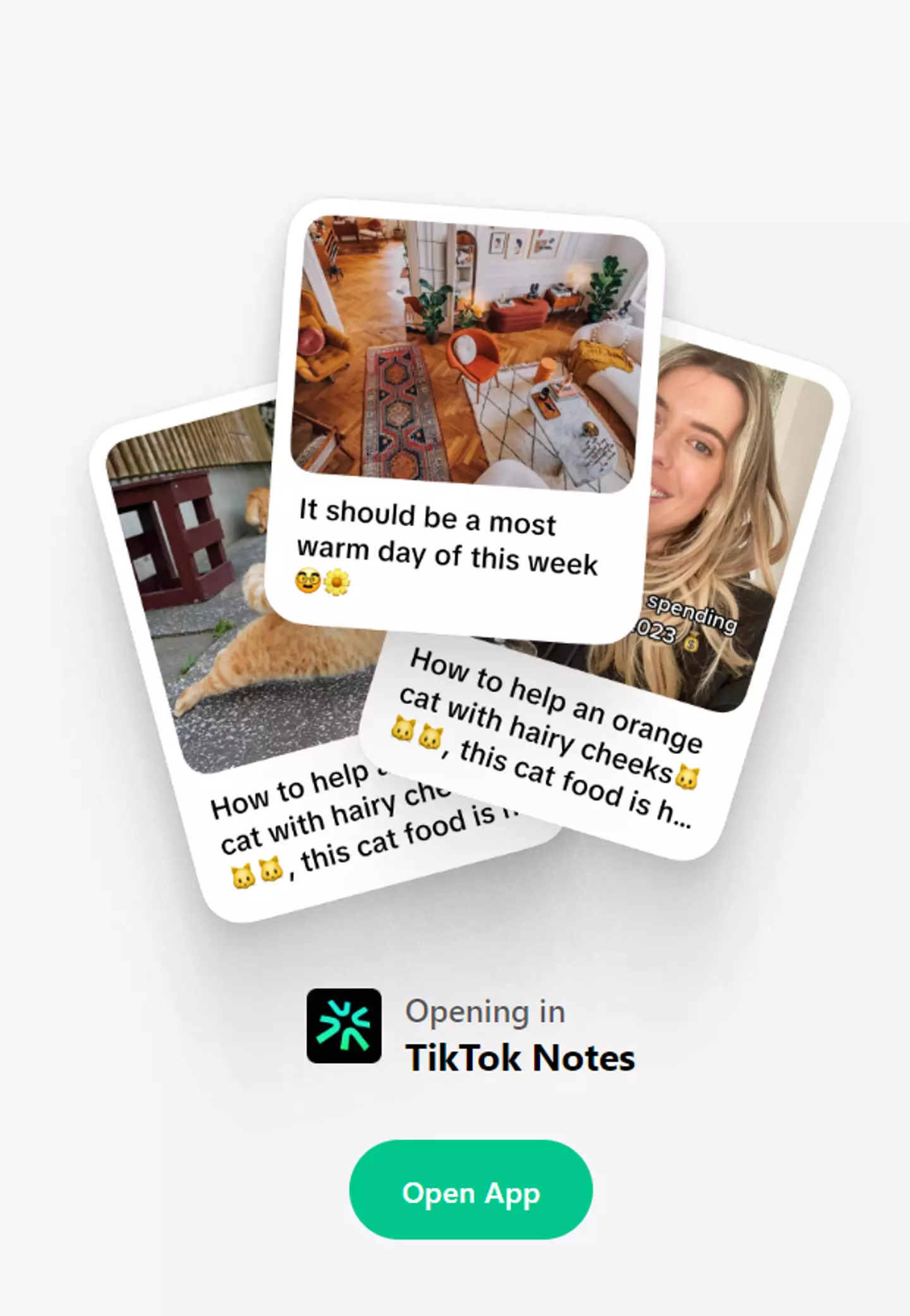 The site that says TikTok Notes.