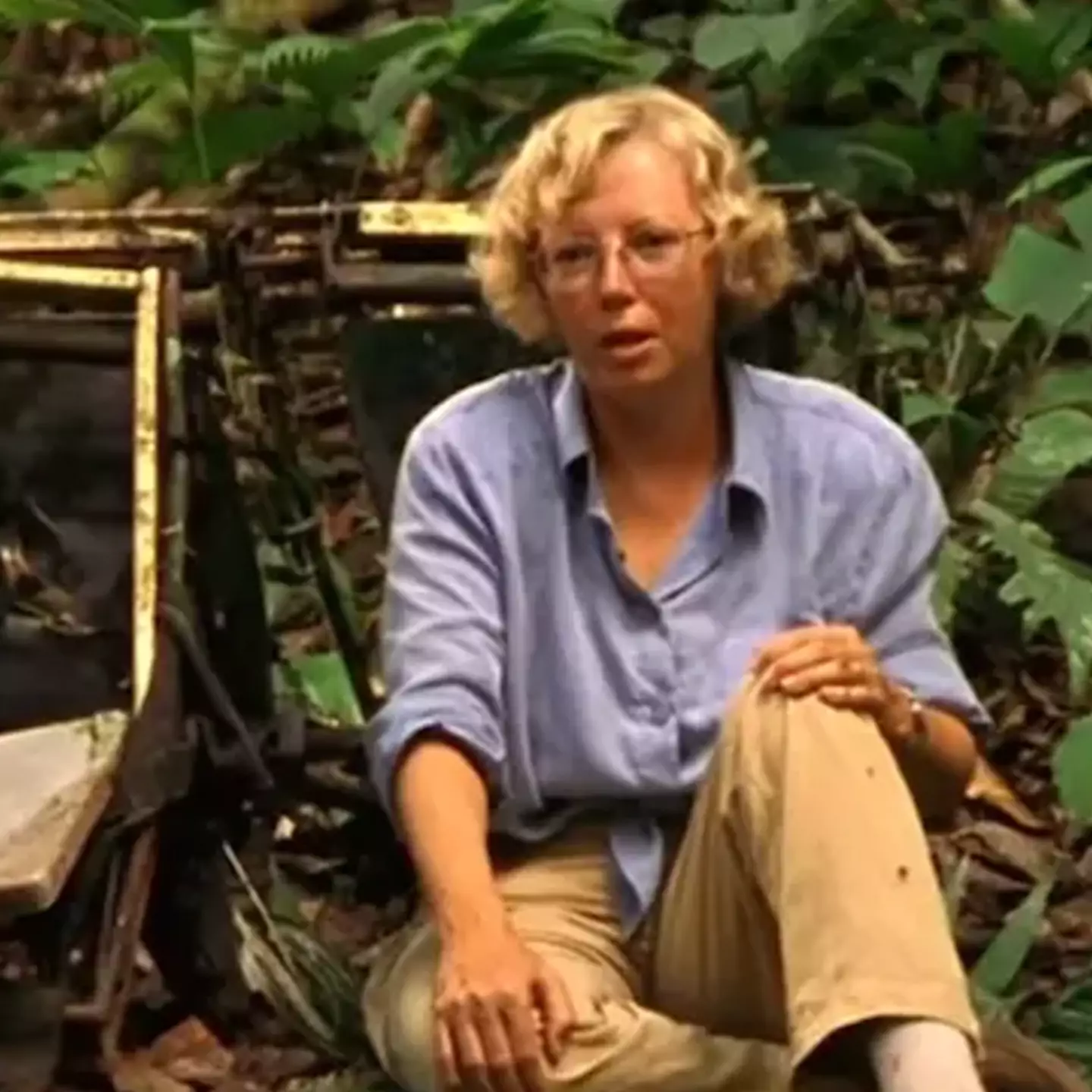 How teen girl survived 11 days in the Amazon Rainforest after a plane crash in 1971