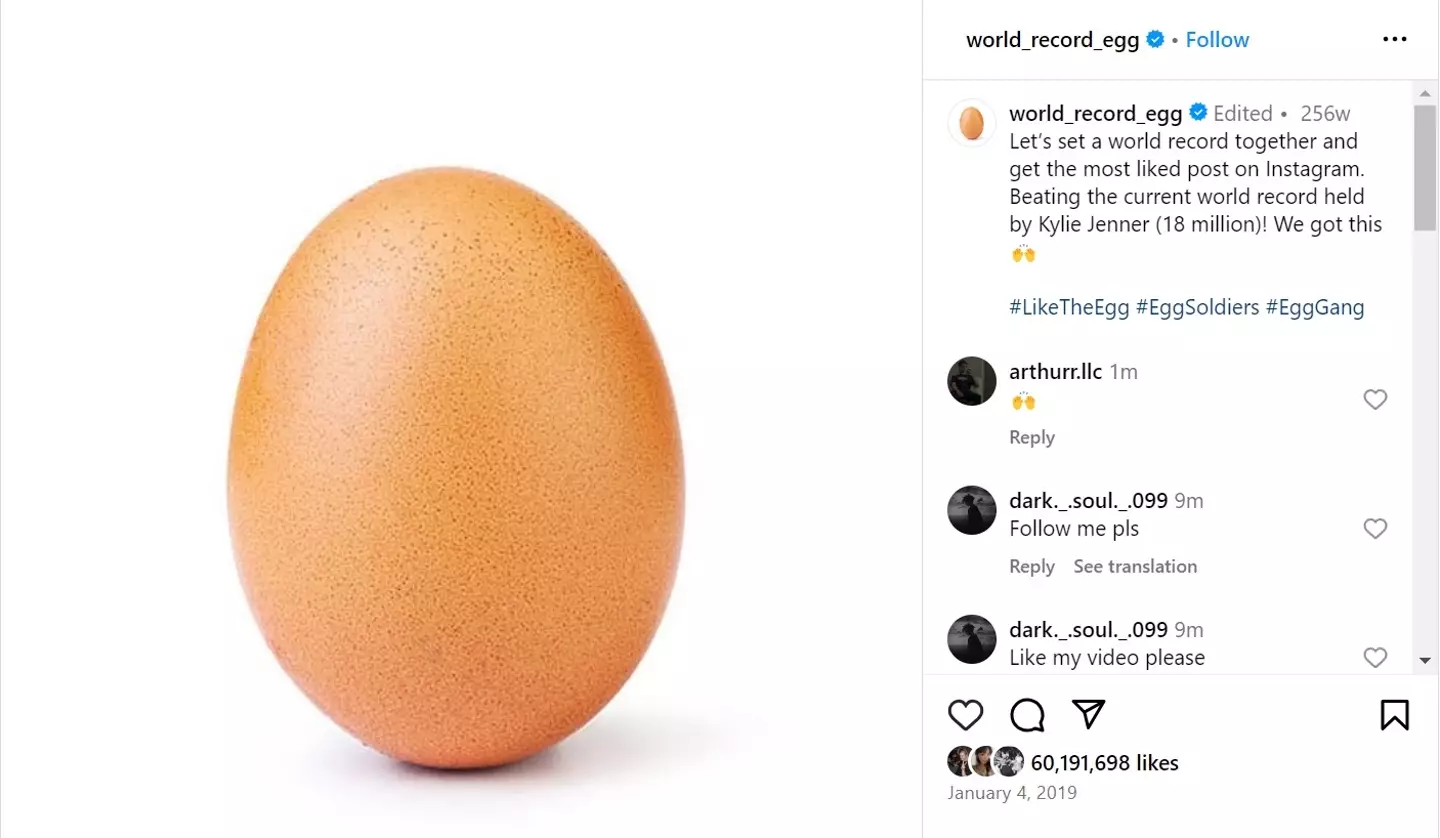 A simple egg took social media by storm.