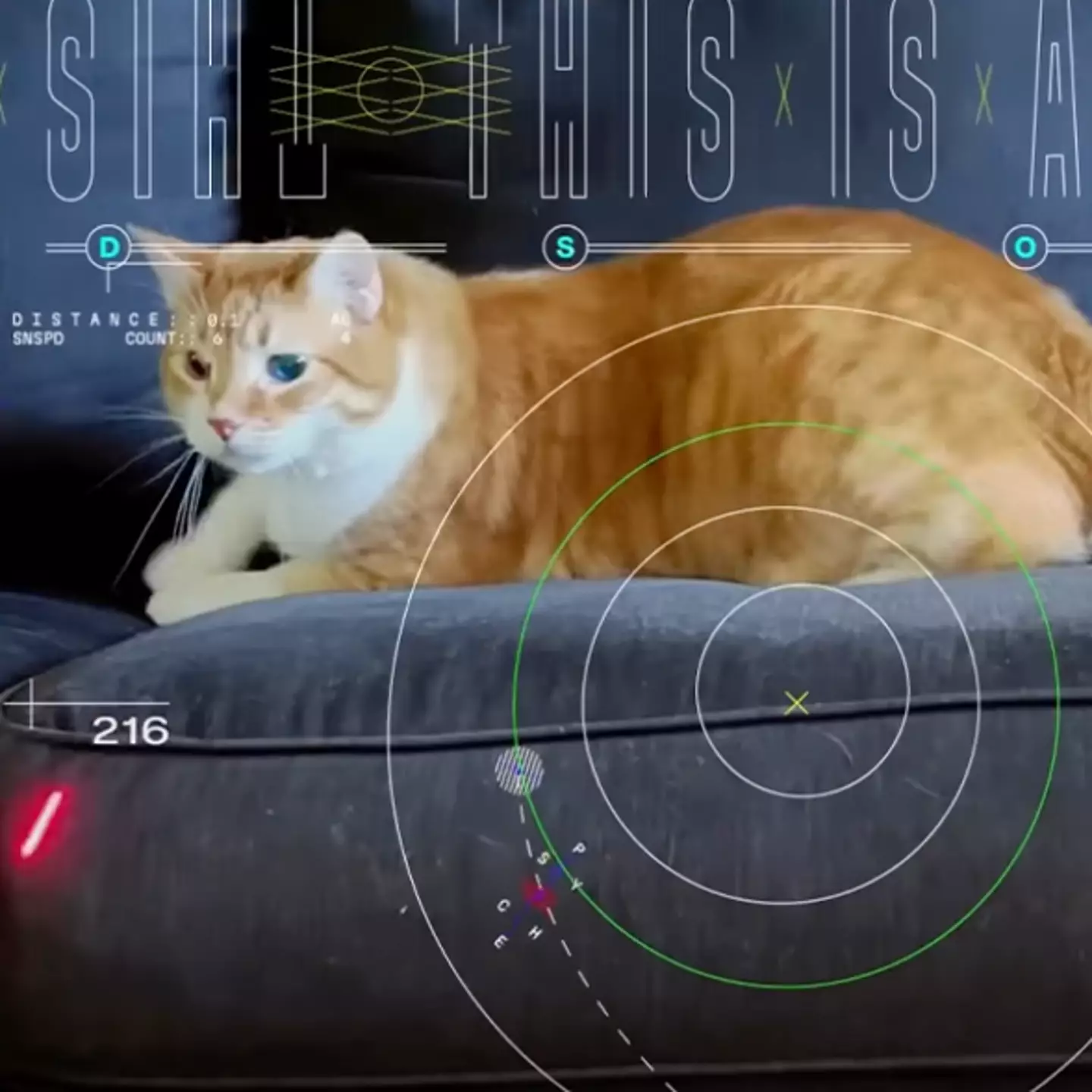 How Earth received laser-beamed cat video from 19 million miles away