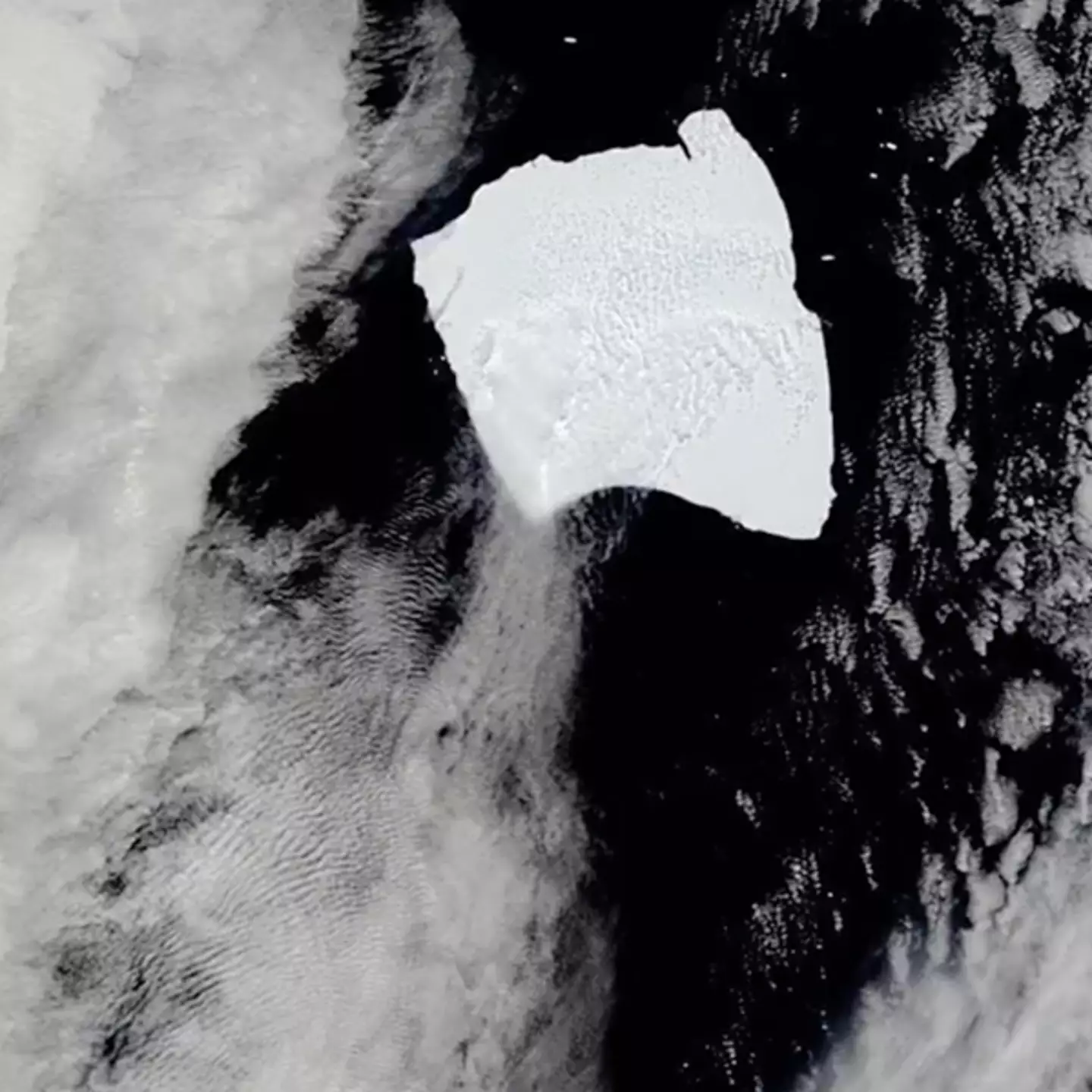 Watch the world's biggest iceberg spin around 360° as it moves to warmer waters