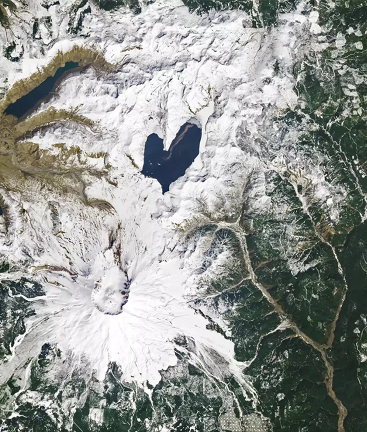 The brown line is believed to be tree roots that are still floating in the lake / NASA Earth Observatory