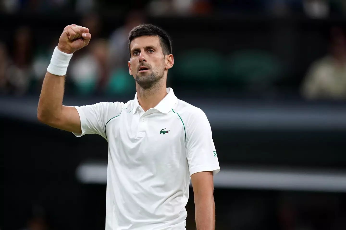 Novak Djokovic won at Wimbledon recently.