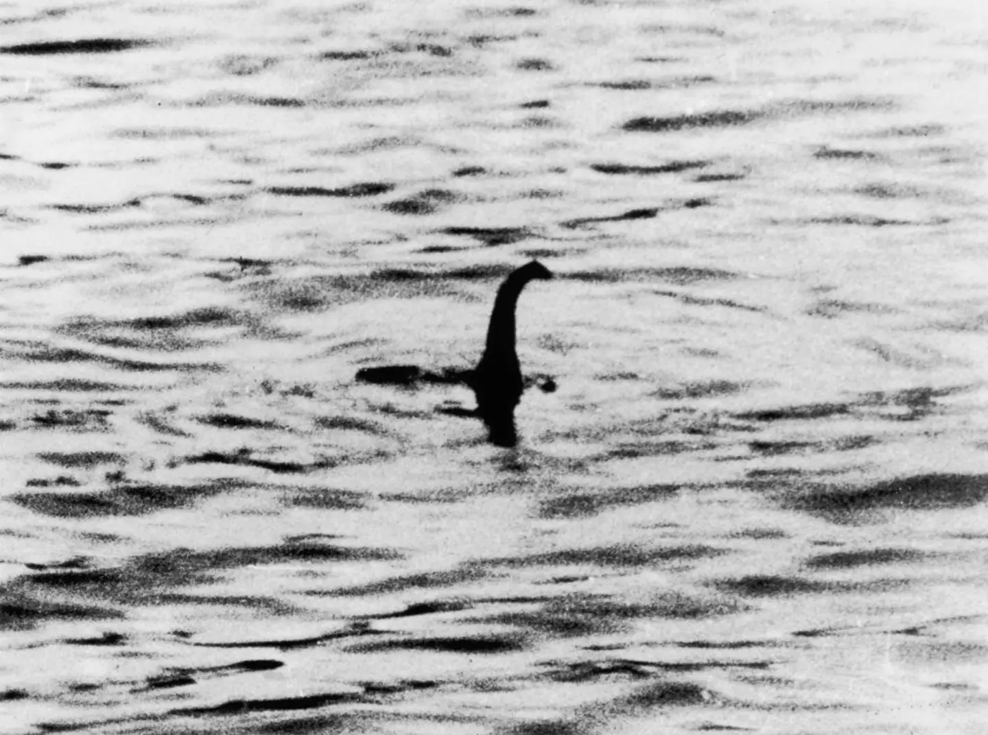 Is the Loch Ness monster real? (Keystone/Getty Images)