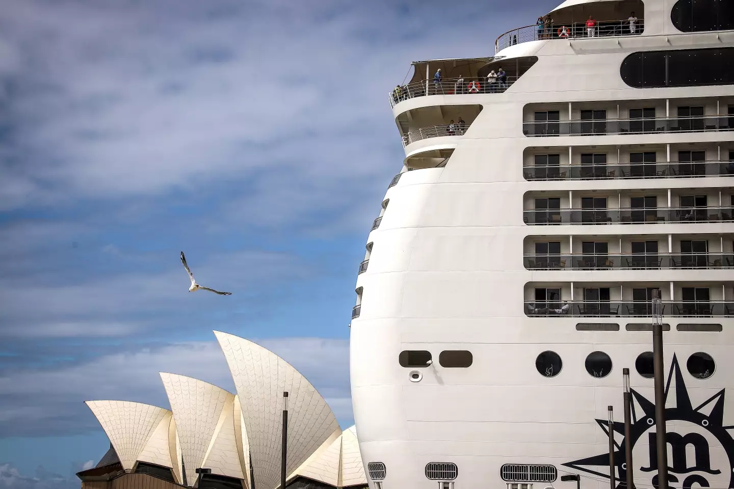 Cruise ships travel right around the world, including stop offs in Sydney (DAVID GRAY/AFP via Getty Images)