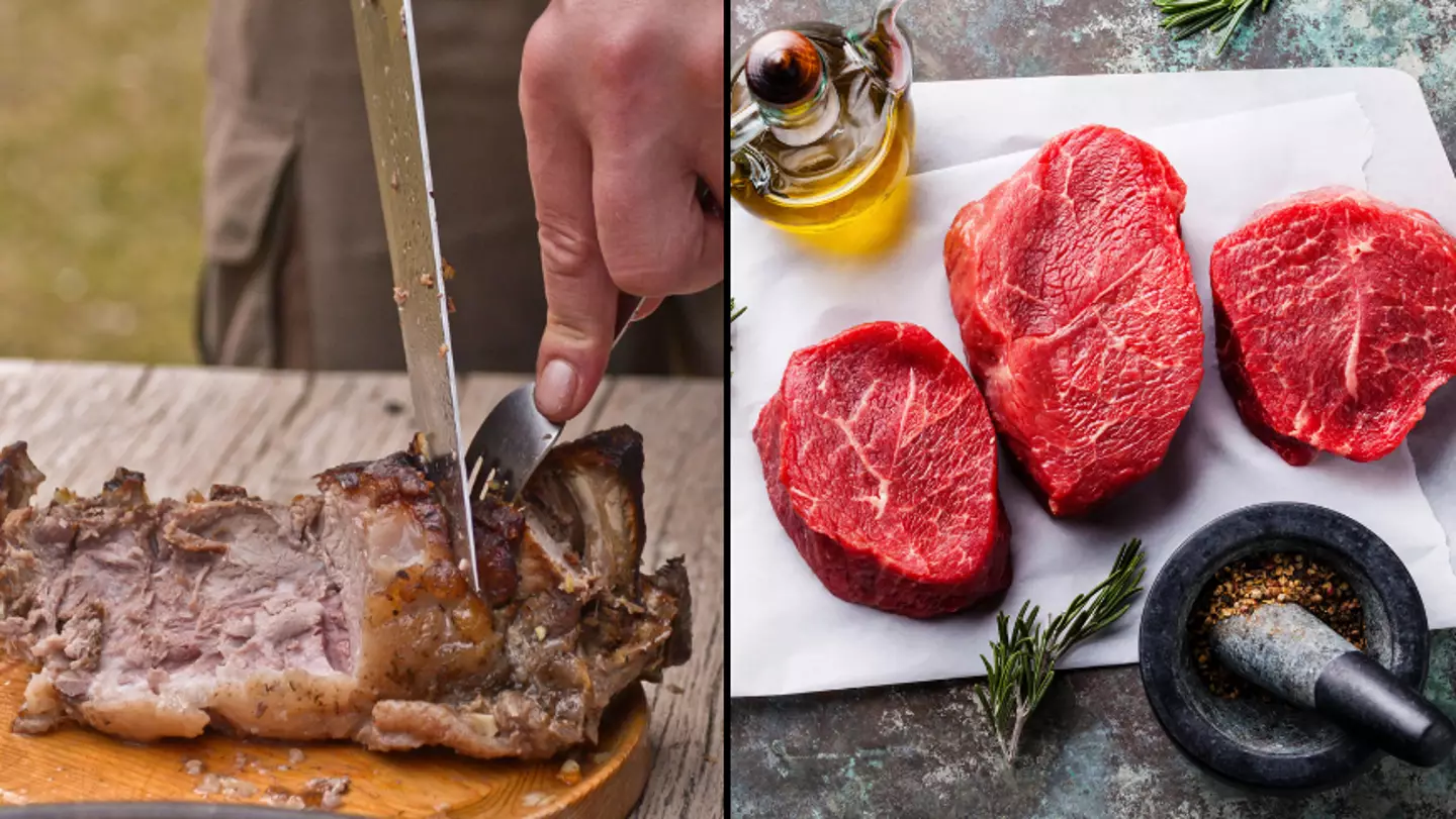 Experts rip into the ‘Lion Diet’ where people only eat meat and salt ...