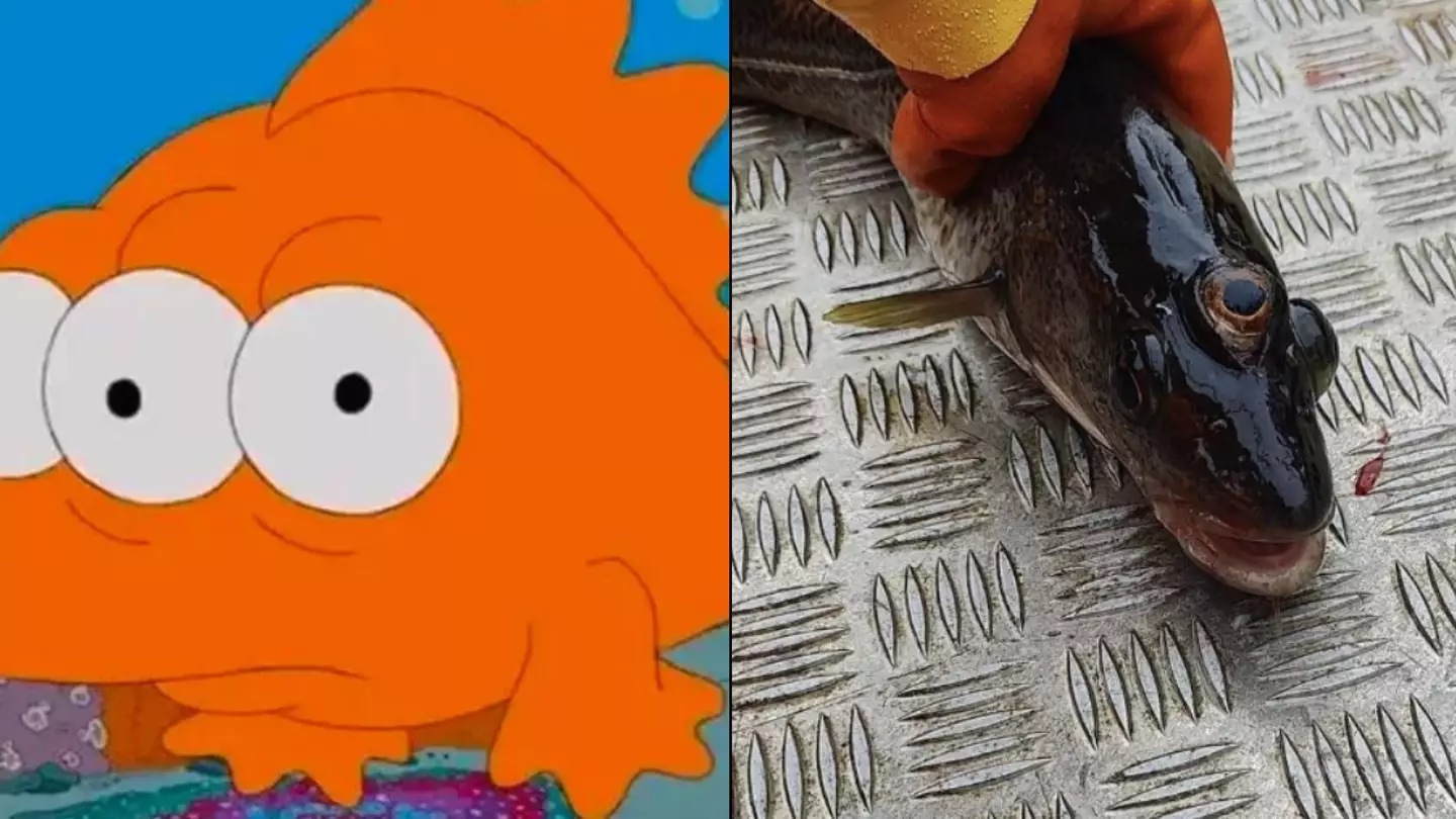 The Simpsons' fans convinced new eerie prediction has come true as baffled fisherman catches mutant creature