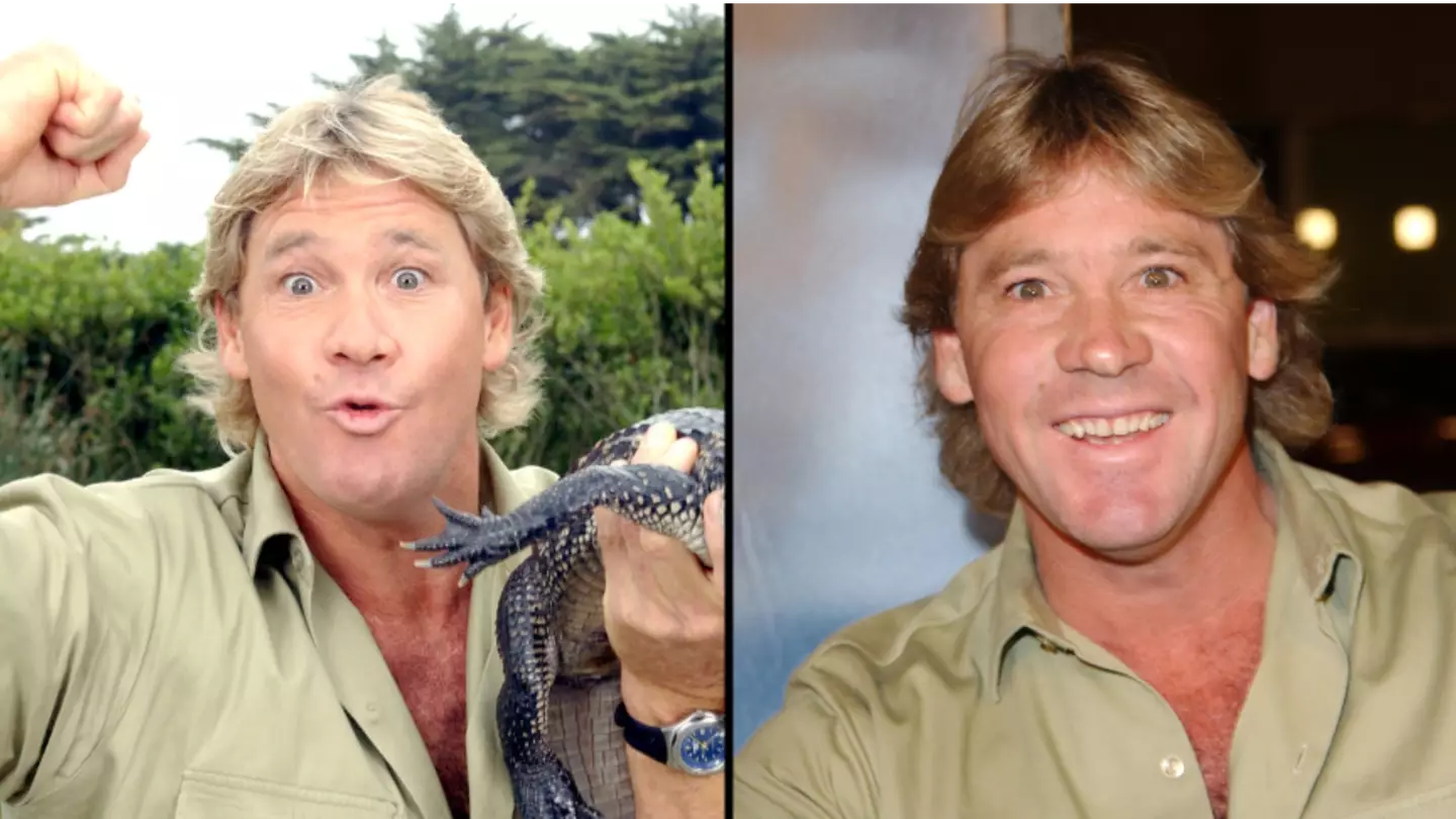 Steve Irwin's cameraman tragically relived the Crocodile Hunter's final moments