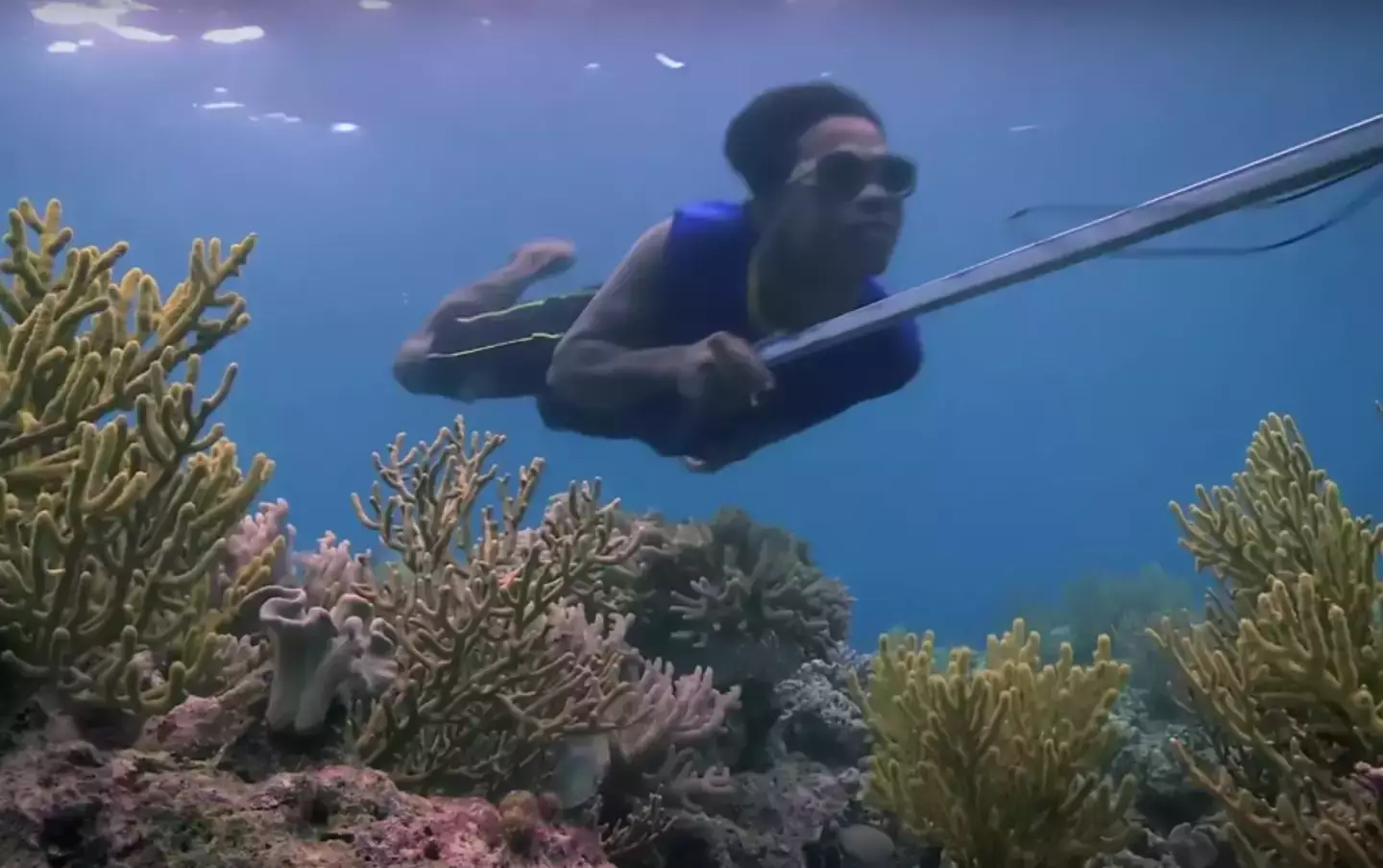 Diving down with wooden goggles and weights around their wastes, the Bajau have lived for countless generations off the produce of the sea. (BBC Global/YouTube)