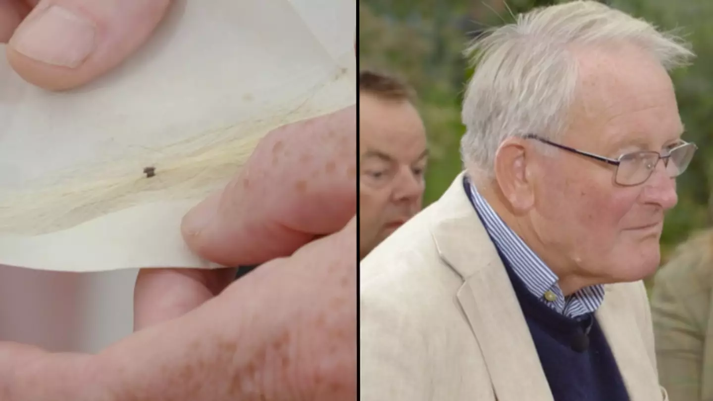 Antiques Roadshow viewers 'feel sick' after finding out how much famous human hair was worth