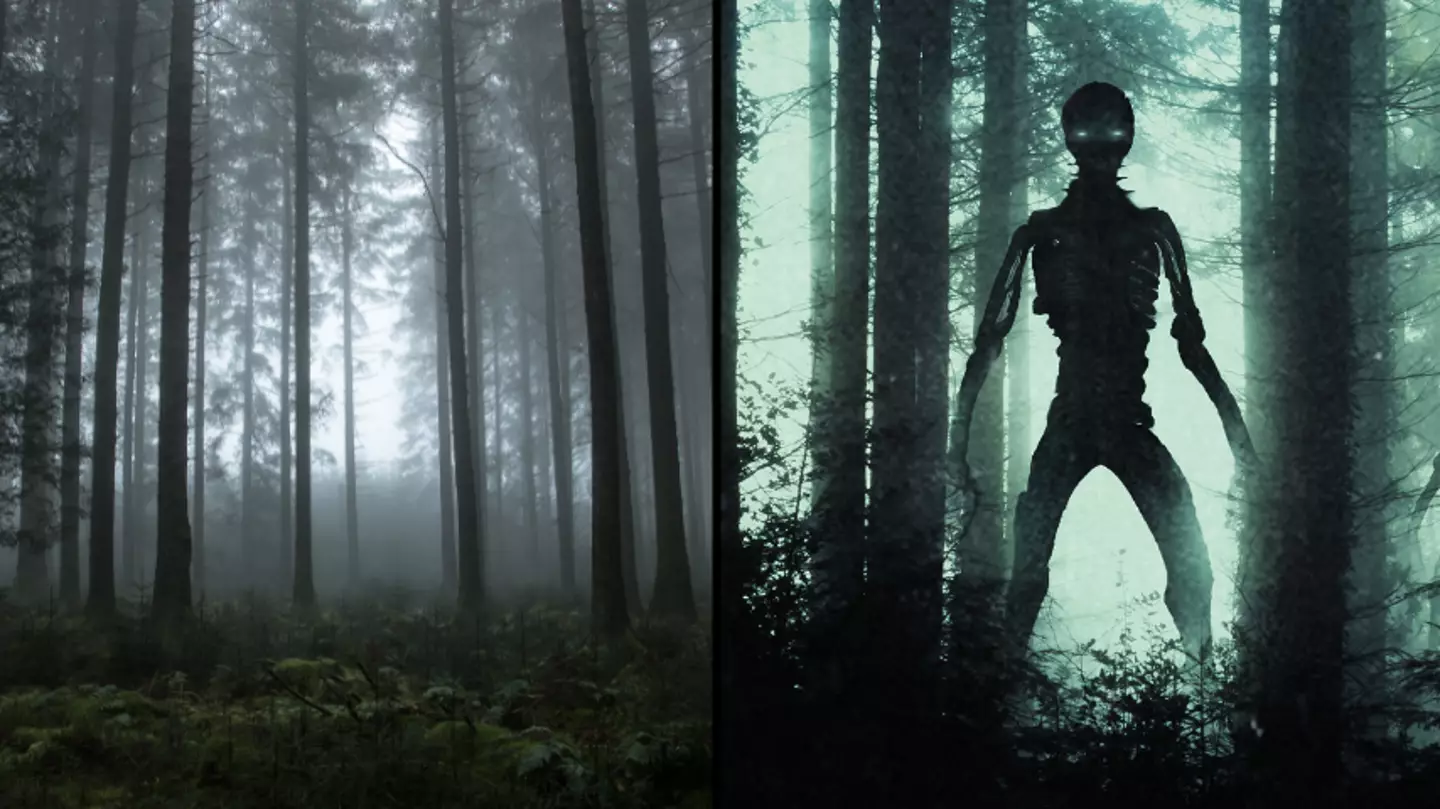 Eerie 'dark forest theory' could explain why we haven't heard from aliens yet