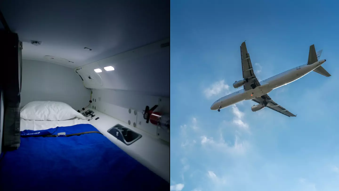 The little-known hidden rooms inside every plane and the reason why you'll never see them