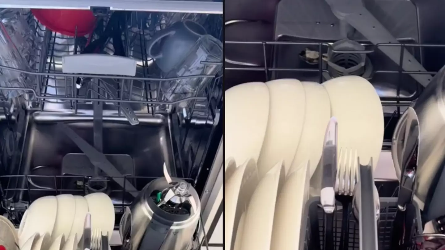 Woman told to ‘burn’ dishwasher after making shocking discovery inside 
