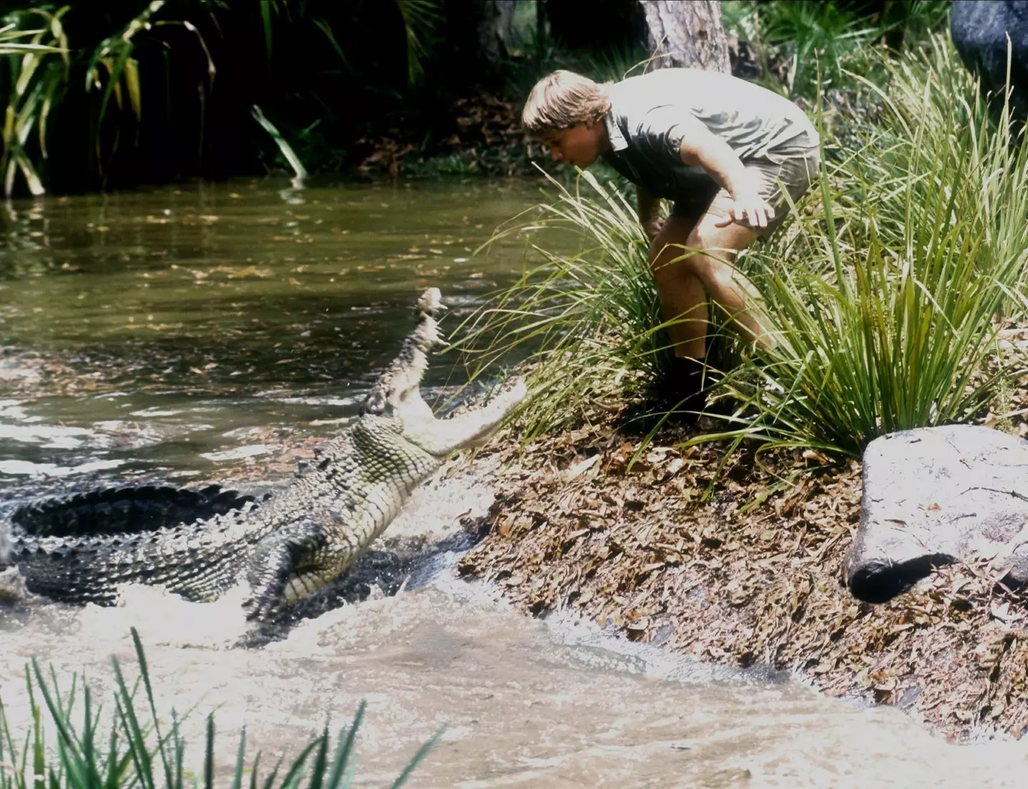 Irwin was the manager of Australia Zoo from 1991 until his death in 2006.