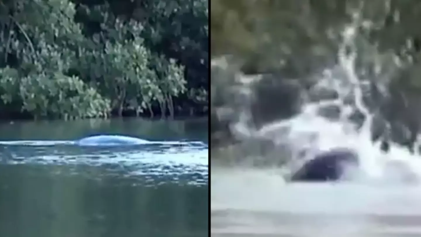 'Scary' footage of ‘Loch Ness Monster’ divides opinion
