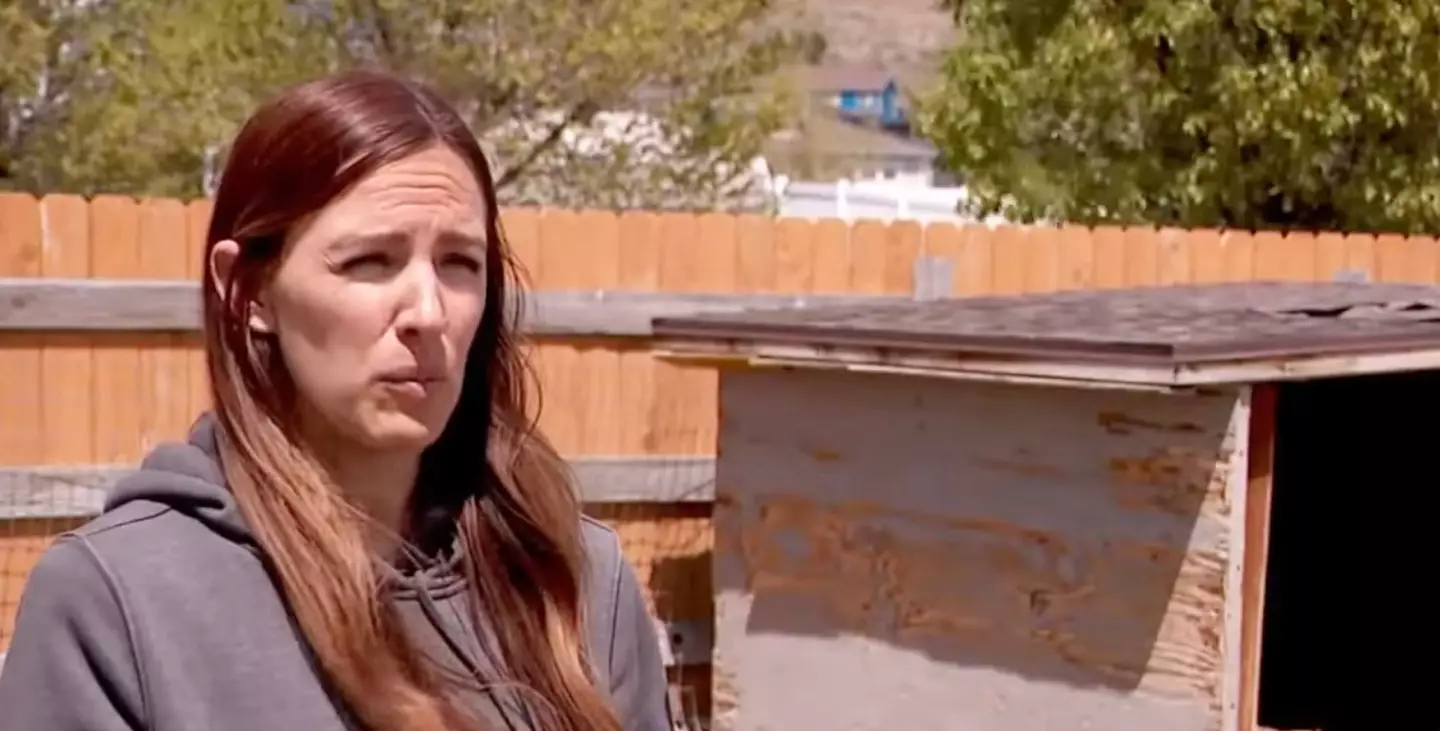 Cassidy Lewis said the impact of the ice 'shook' her whole house. (KUTV 2News)